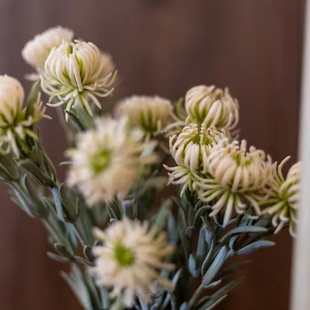 Art Retreat Zaimov * Szófia